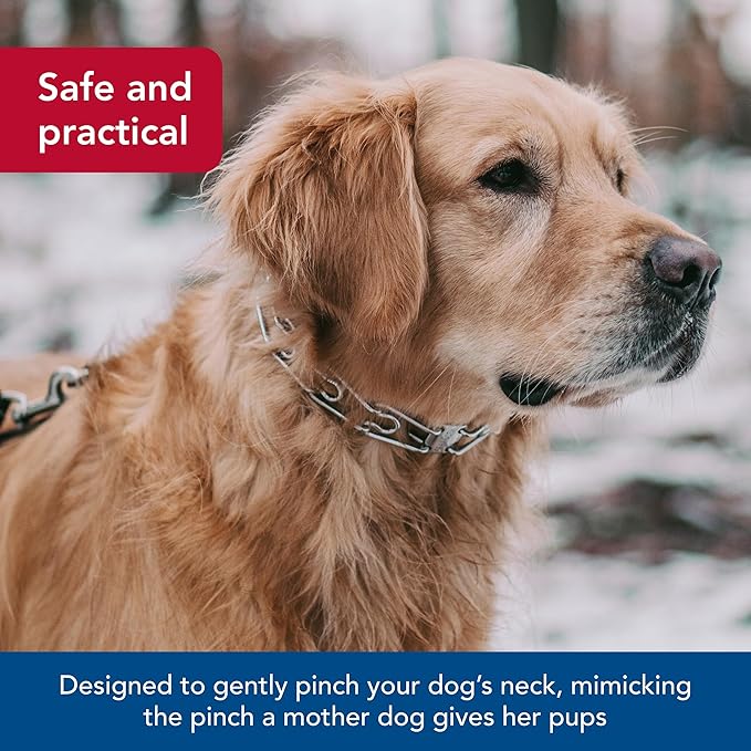 Herm SPRENGER Ultra-Plus Prong Dog Training Collar, 4 mm x 21" Neck Size, 4 mm x 25" Chain Length, Steel Chrome Plated Dog Prong Collar, Pinch Collar for Dogs, Dog Correction Collar