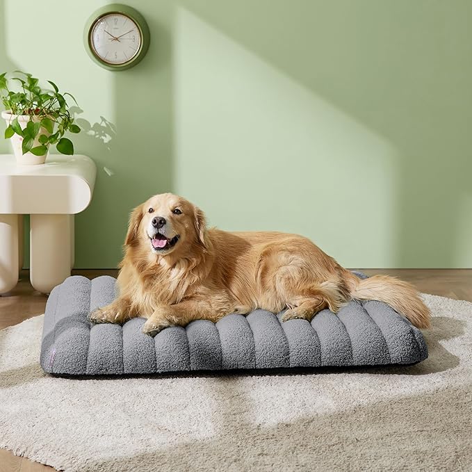 Lesure Cute Orthopedic Dog Bed for Extra Large Dogs, XL Waterproof Chic Flat Pet Beds with Removable Washable Cover, Fuzzy Thick Egg Crate Foam Pet Mat for Indoor Use (44" x 32", Grey)