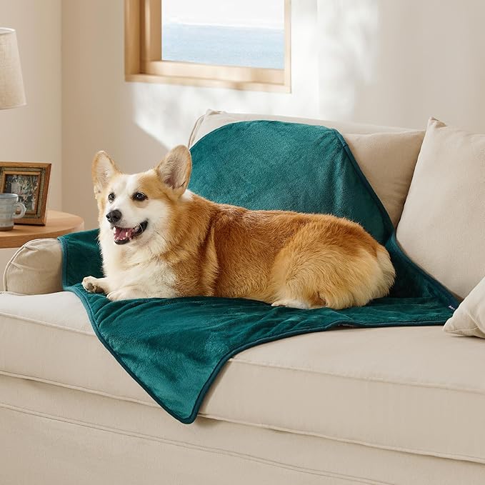 Bedsure Cat Blanket for Indoor Cats - Waterproof Calming Cat Blankets for Couch Protection, Sherpa Fleece Pet Blanket, Soft Plush Reversible Throw Furniture Protector, 50"x40", Green