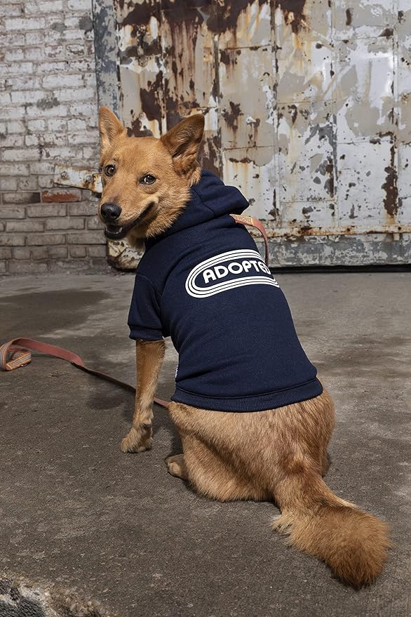 Adopted Dog Hoodie from Brass Monkey - X-Small (14" Chest), Includes 2 White Drawstrings and Velcro Fasteners, Cute Dog Accessories with Vintage Inspired Designs, Makes a Great Gift for Dog Lovers!