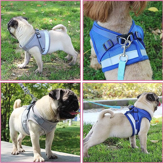 Step in Dog Harness and Leash Set,Reflective Adjustable Soft Mesh Breathable Pet Vest Dog Harnesses Set, No Chock No Pull Padded Puppy Harnesses for Small Dogs and Cats (Gray, Small)