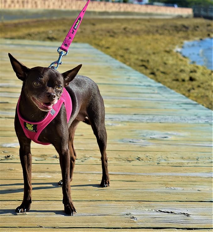 EcoBark Step in Dog Harness - Eco-Friendly Teacup Dog Harnesses for XXS, XS, and Small Dogs - Reflective and Adjustable Mini Body Halter Vest -Tiny Soft Mesh Toy Breed Harness Under 5 lbs (Pink, XXS)