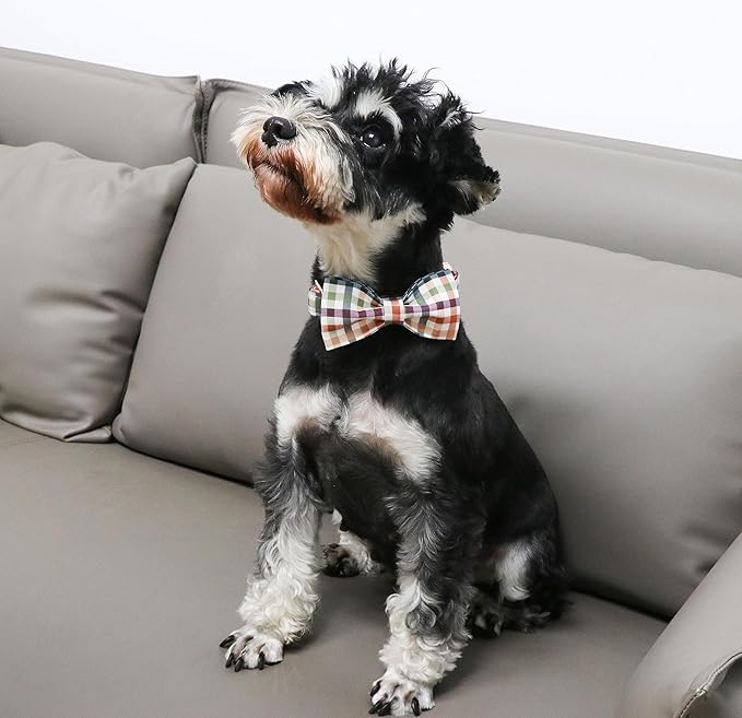 Unique Style Paws Cotton Dog Collar with Bow Floral Plaid Colorful Dog Collar with Bow Tie for Small Medium Large Dogs Pets Gifts
