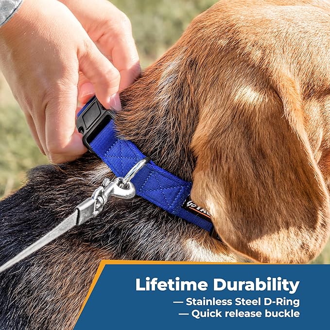 GoTags Personalized Dog Collar, Custom Embroidered Pet ID Dog Collar with Pet Name and Phone Number, Adjustable with Quick Release Snap Buckle