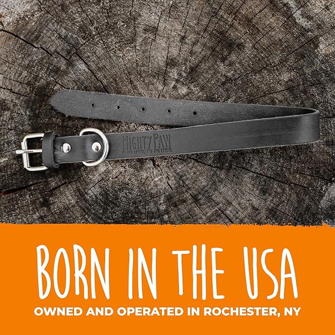 Mighty Paw Leather Dog Collar - Genuine Distressed Leather - Strong Metal Buckle - Ultimate Comfort - Modern Style for All Dogs Breeds - Comfort Puppy Collar - (Small - Black)
