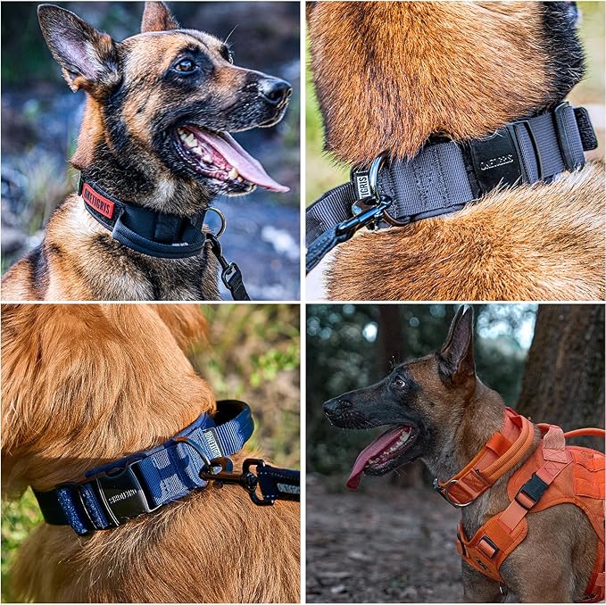 OneTigris Tough Dog Collars, Tactical Dog Collar with Handle, Milltary Adjustable Dog Collar with Heavy Duty Metal Buckle for Training (Large(Pack of 1), Black)