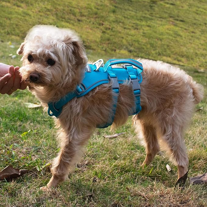 Escape Proof Dog Harness and Leash Set, Lightweight Dog Harness with Lift and Assist Handle, No Pull Reflective Pet Vest for Small Medium Dogs, Ideal for Puppy Walking and Training (Blue, XS)