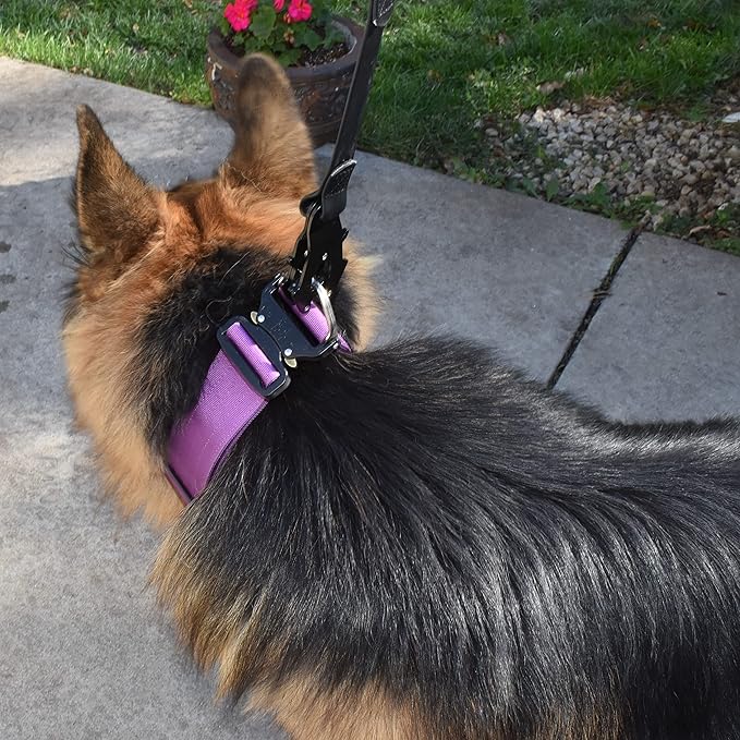 Tactical Dog Collar 2 Inch Wide Thick Heavy Duty Military Style with Metal Buckle, Adjustable for Medium - Large Breeds, Durable K9 Training Gear with Patch Area, USA Flag Patch, Strong and Secure Fit