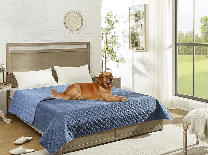 gogobunny 100% Double Sided Waterproof Dog Blanket Soft Pet Bed Cover Reversible Protect Furniture Couch Sofa Car for Puppy Cat Kids (Dark Blue/Light Blue, 30x30 Inch (Pack of 1))