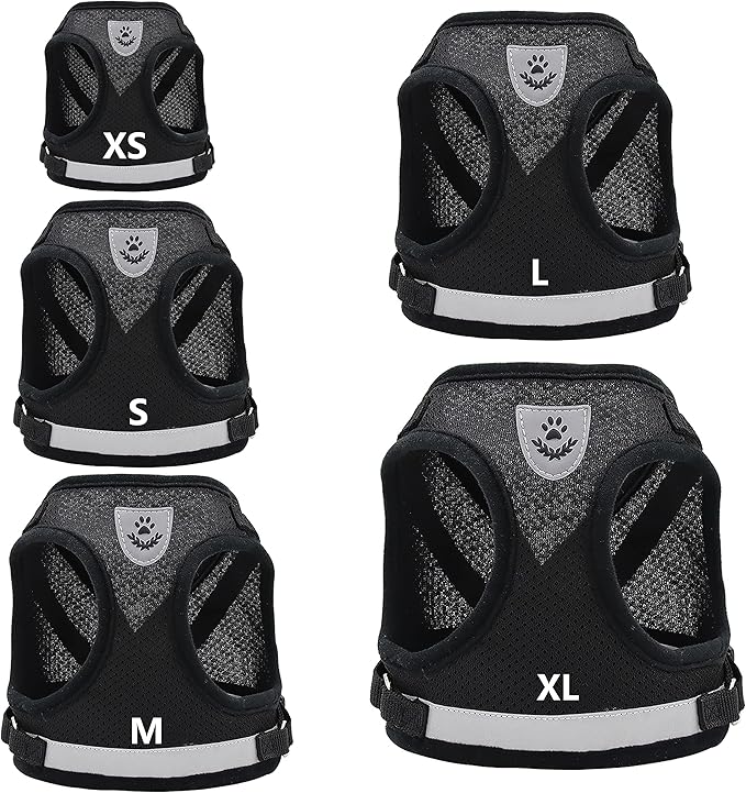 Step in Dog Harness and Leash Set,Reflective Adjustable Soft Mesh Breathable Pet Vest Dog Harnesses Set, No Chock No Pull Padded Puppy Harnesses for Small Dogs and Cats (Black, Small)