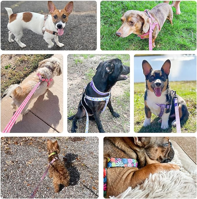 BEAUTYZOO No Pull Dog Harness and Leash Set - Adjustable Step-in Puppy Harness for Small Medium Large Dogs, Escape Proof Soft Nylon Vest with Double D Ring for Walking Running Training, Pink XS