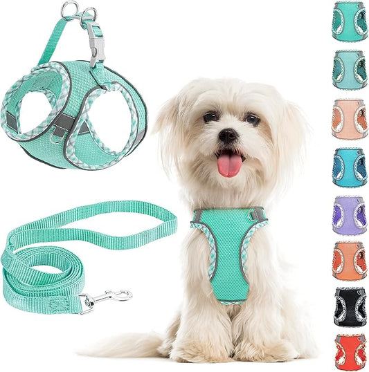 Green Small/Medium Reflective Dog Harness and Leash Set, Easy Walk, Step-In, Breathable Mesh, No Pull Adjustable, Outdoor, Hiking, Training