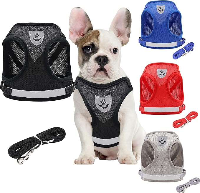 Step in Dog Harness and Leash Set,Reflective Adjustable Soft Mesh Breathable Pet Vest Dog Harnesses Set, No Chock No Pull Padded Puppy Harnesses for Small Dogs and Cats (Black, Large)