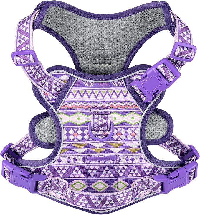 Dog Harness for X-Small Dog Breed, Light Pet Vest Harness with 2 Leash Clips and 3 Buckles, Easy to Wear, Adjustable Reflective Soft Padded, Boston Terrier, Poodles, XS