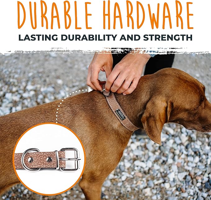 Mighty Paw Leather Dog Collar - Genuine Distressed Leather - Strong Metal Buckle - Ultimate Comfort - Modern Style for All Dogs Breeds - Comfort Puppy Collar - (Medium - Lite Brown)