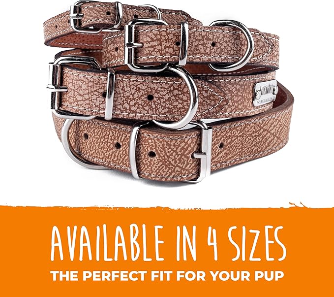 Mighty Paw Leather Dog Collar - Genuine Distressed Leather - Strong Metal Buckle - Ultimate Comfort - Modern Style for All Dogs Breeds - Comfort Puppy Collar - (Medium - Lite Brown)