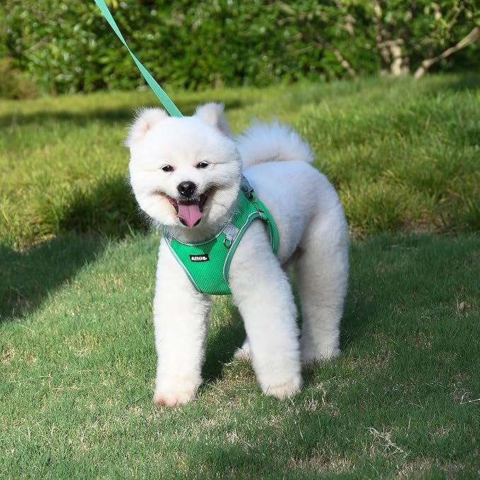 AIITLE Dog Harness No Choke Over, Step in Adjustable Dog Harness with a Leash, Breathable Mesh and Quick-Release Buckle - Outdoor Walking, Training, Running for Medium Dogs Green L