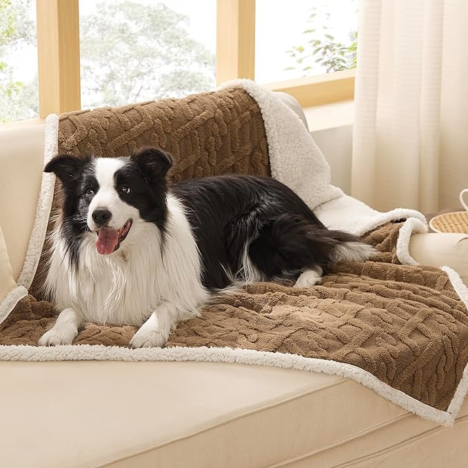 Bedsure Waterproof Dog Blankets for Large Dogs - Pet Blanket for Couch Protector Washable, Premium Jacquard Coral Fleece Cat Throw Blanket, Soft Plush Reversible Furniture Protection,40"x50", Taupe