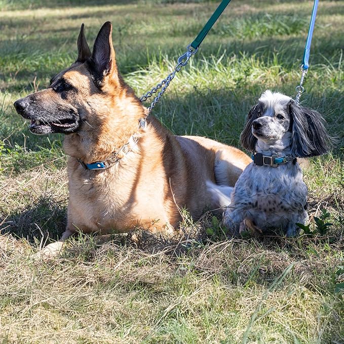 Herm Sprenger Chrome Plated Steel Dog Collar with Quick Release ClicLock Buckle and Biothane Insert Training Collar for Dogs Made in Germany (Cerulean Blue, 25in x 4.0mm(Neck Size up to21-22in))