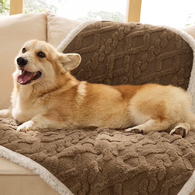 Bedsure Waterproof Dog Blankets for Medium Dogs - Pet Blanket for Couch Protector Washable, Premium Jacquard Coral Fleece Cat Throw Blanket, Soft Plush Reversible Furniture Protection,30"x40", Taupe