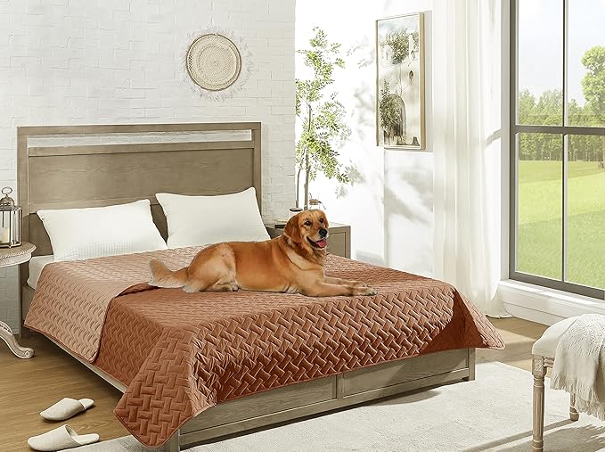 gogobunny 100% Double Sided Waterproof Dog Blanket Soft Pet Bed Cover Reversible Protect Furniture Couch Sofa Car for Puppy Cat Kids (Dark Pumpkin/Light Pumpkin, 82x120 Inch (Pack of 1))