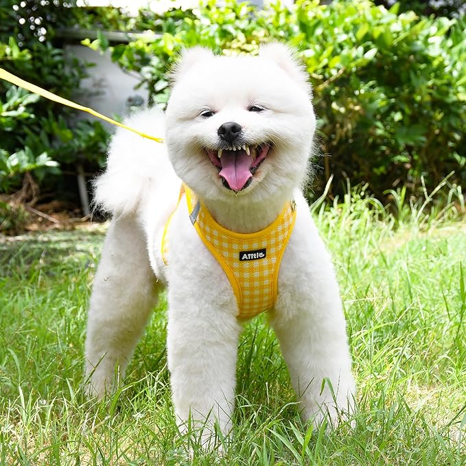 AIITLE Adjustable Dog Harness and Leash Set, Step in No Pull Pet Harness, Soft Mesh Reflective Plaid Vest Harnesses for Small Dogs Puppy and House Cats Outdoor Walking Running Yellow XS