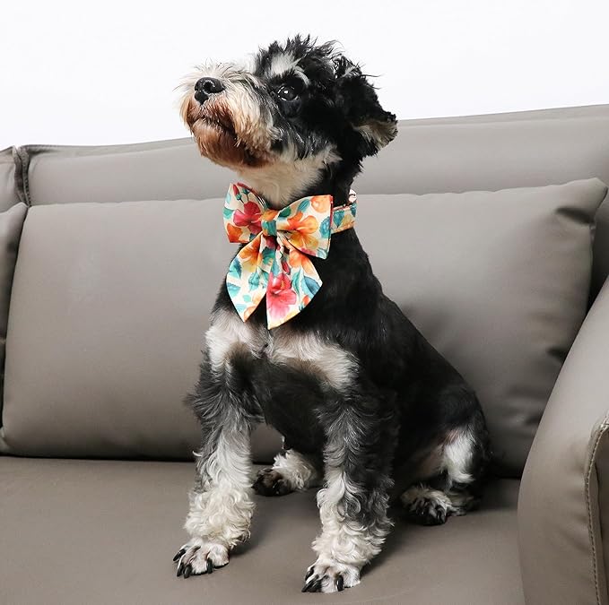 Unique Style Paws Cotton Dog Collar with Bow Floral Plaid Colorful Dog Collar with Bow Tie for Small Medium Large Dogs Pets Gifts