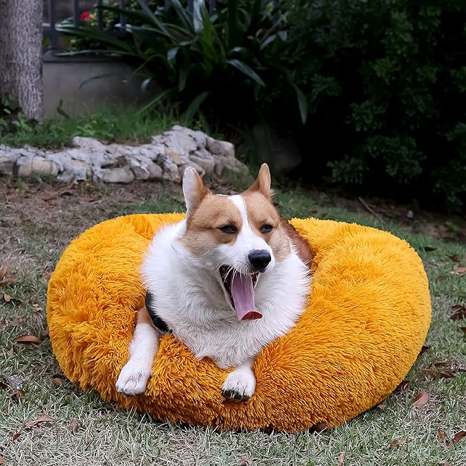 nononfish Pet Beds for Medium Size Dogs Washable Calming Pet Beds with Anti-Anxiety fit 30bls Dogs,30 Inches Orange