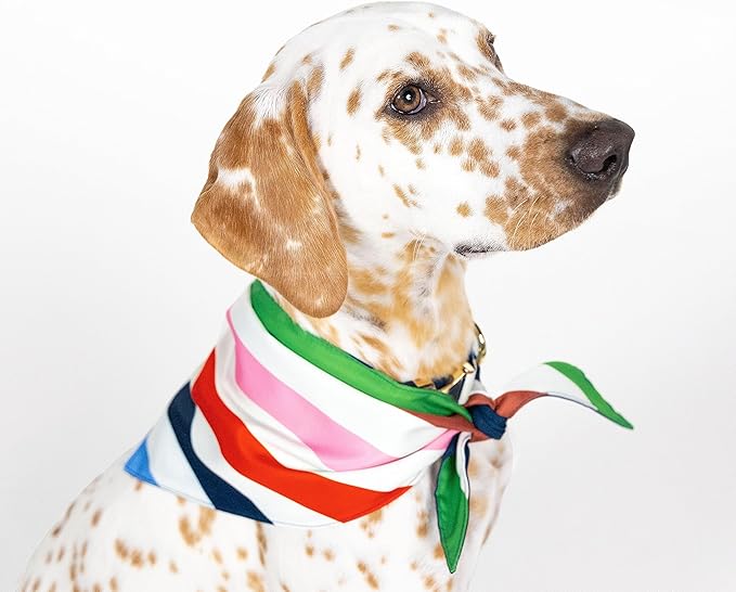 kate spade new york Pet Bandana for Boy or Girl Dogs, Lightweight Bandana for Dog, Cute Dog Scarf for Medium or Large Pets, Adventure Stripe