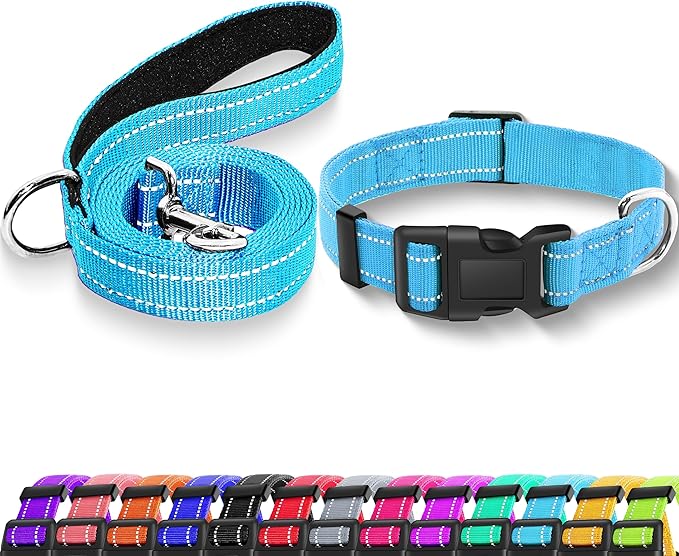 Reflective Dog Collar with Safety Locking Buckle, Adjustable Soft Breathable Nylon Collars for Small, Medium and Large Dogs(Collar+Leash S Width 3/4" Sky Blue)