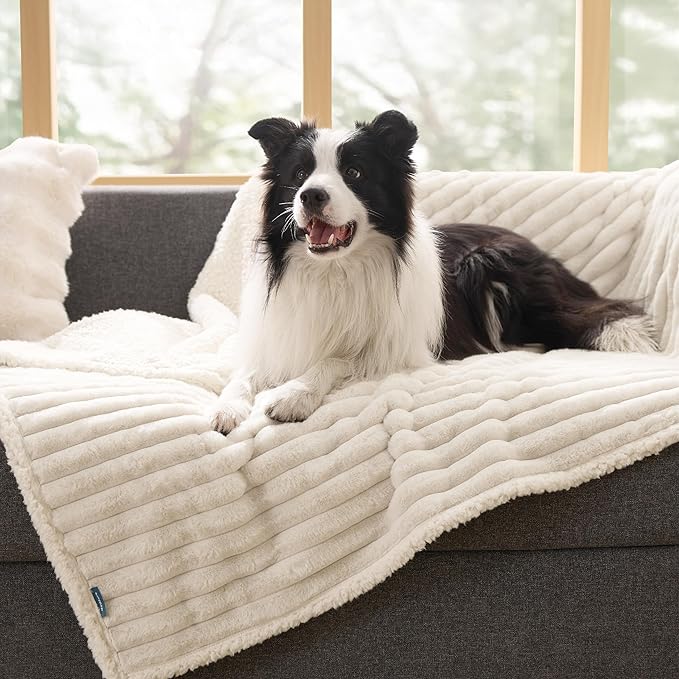 Bedsure Waterproof Dog Blankets for Large Dogs - Soft Pet Cat Blanket Corduroy Fleece for Couch Bed Protector Washable, Cozy Calming Reversible Furniture Protection for Puppy,50"x60", Cream