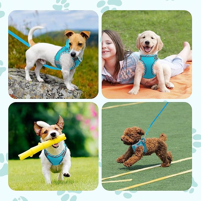 Green Small/Medium Reflective Dog Harness and Leash Set, Easy Walk, Step-In, Breathable Mesh, No Pull Adjustable, Outdoor, Hiking, Training