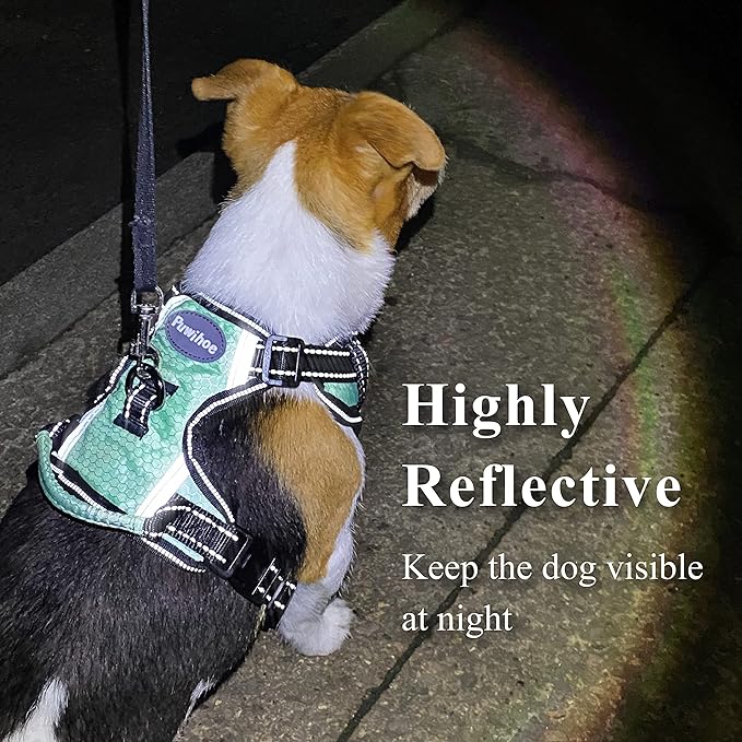 No Pull Dog Harness, Reflective Walking Dog Harness with Easy Control Handle and Front & Back Clips,Adjustable Breathable Soft Padded Dog Vest Harness for Large Medium Small Dogs,Green,M
