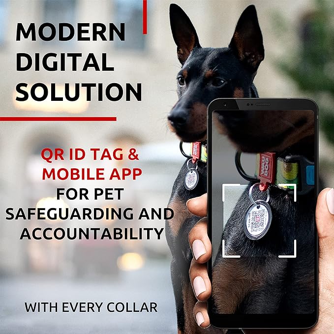 WAUDOG Nylon Dog Collar - Adjustable Dog Collar for Large Dogs, Small & Medium Dogs - Breakaway Puppy Collars for Large Breed Dogs - Boy & Girl Dog Collars with Durable Plastic Buckle and QR Dog Tag