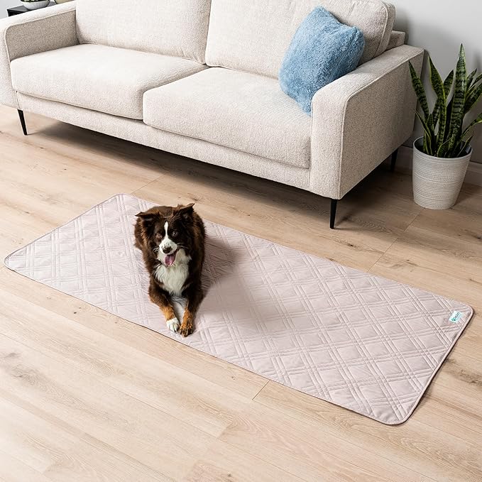 PetAmi Waterproof Couch Cover for Dogs, Waterproof Pet Blanket, Reversible Furniture Cover Sofa Protector for Pet Cat Bed, Washable Waterproof Blanket Dog Cover for Couch Seat, 30x70 Beige