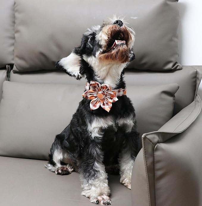 Unique Style Paws Cotton Dog Collar with Bow Halloween Pumpkin Plaid Dog Collar with Bow Tie for Small Medium Large Dogs Pets Gifts