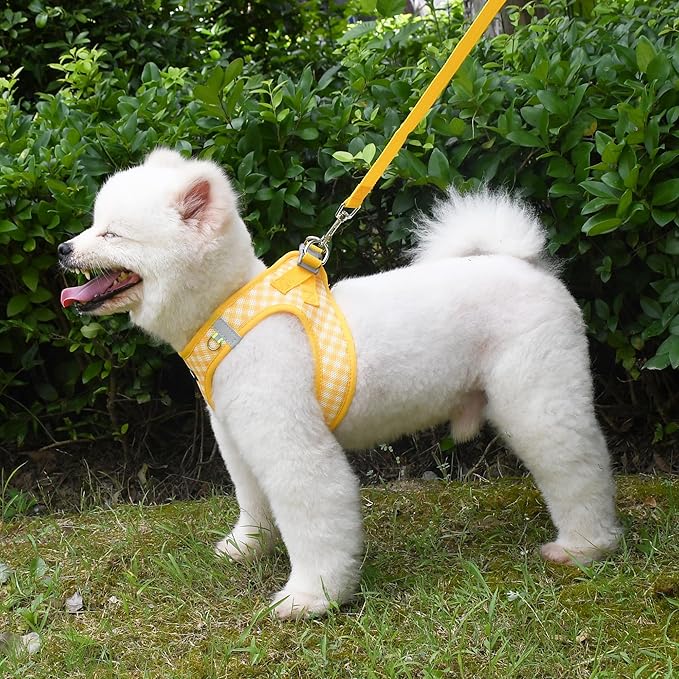 AIITLE Adjustable Dog Harness and Leash Set, Step in No Pull Pet Harness, Soft Mesh Reflective Plaid Vest Harnesses for Small Dogs Puppy and House Cats Outdoor Walking Running Yellow XS