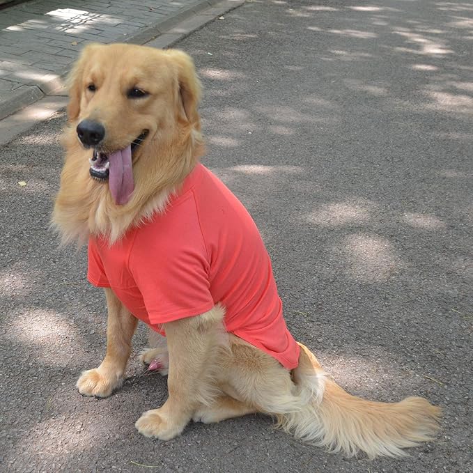 Lovelonglong Pet Clothing Dog Costumes Basic Blank T-Shirt Tee Shirts for Medium Dogs Lobster Pink XXL