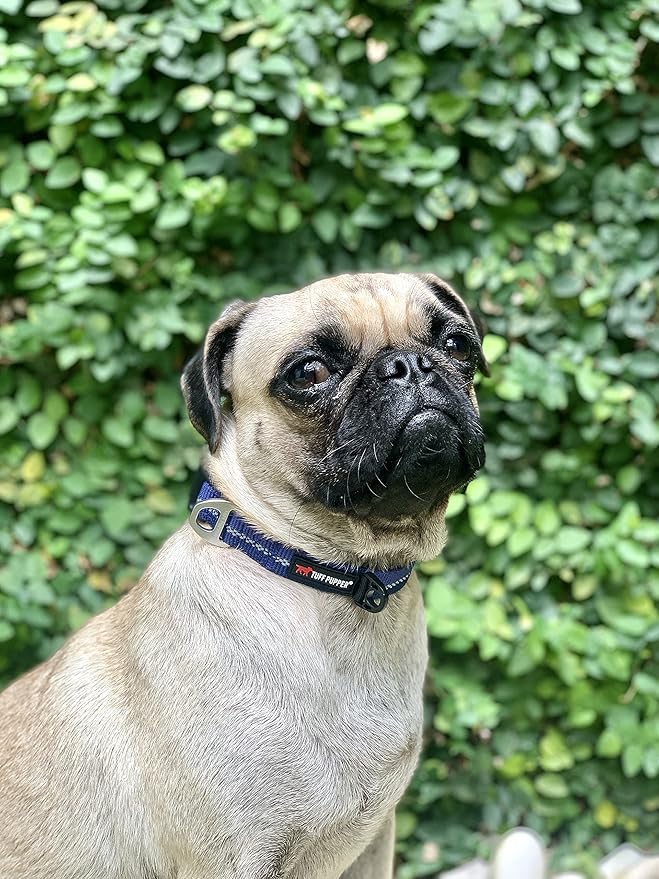 Tuff Pupper Heavy Duty Dog Collar | Tough Dog Collar | Reflective Dog Collar with Aluminum D-Ring Leash Clip | Separate Dog ID Tag Attachment Keeps Engraved Dog Tags Quiet | Easy Sizing for All Breeds