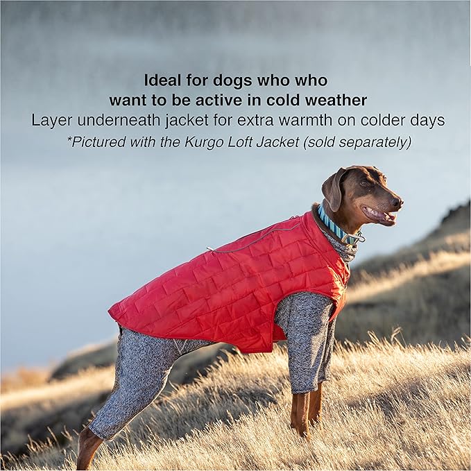 Kurgo Stowe Base Layer, Dog Onesie Body Warmer, Bodysuit for Dogs, Recovery Suit, Reduce Anxiety, Contains Shedding, Leash Opening, Reflective, Heather Black (X-Small)