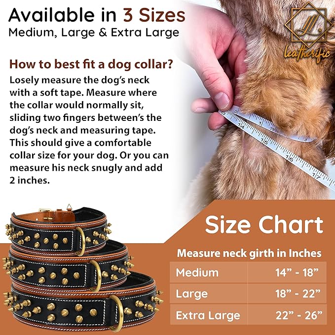 Genuine Leather Dog Collar by Leatherific, Premium Bridle Leather, Heavy Duty, Padded, Strong, Screwed Spikes, Medium, Large, Extra Large Breeds, 2" Wide (Charcoal, Neck Size 14"-18")