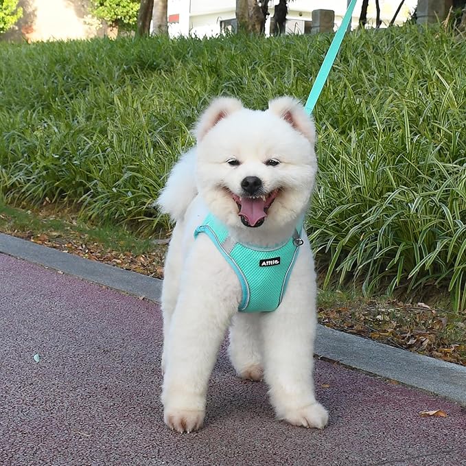 AIITLE Dog Harness and Leash Set, No Pull Step in Puppy Harness with Super Breathable Mesh, Reflective Puppy Essentials for Outdoor Walking, Training for Small Dogs, Cats Turquoise XS