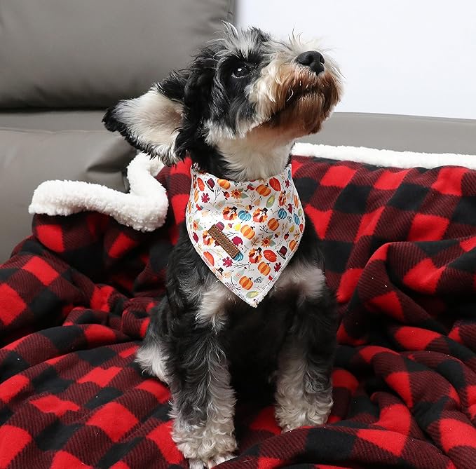 Unique Style Paws Thanksgiving Cotton Dog Collar with Bow Halloween Pumpkin Plaid Dog Collar with Bow Tie for Small Medium Large Dogs Pets Gifts