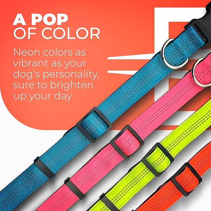 BLAZIN Reflective Dog Collar - Vibrant Color for Day and Night - Soft Neoprene Padded Collar - Adjustable Sizing -'Color Me Happy!' Dog Collars - Brighter Means Safer - (Medium, Pink)