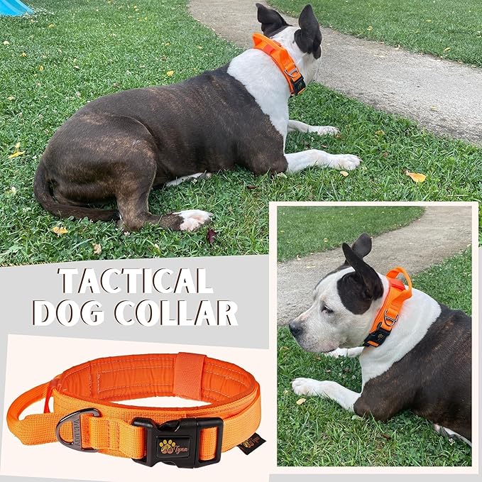 ADITYNA Tactical Dog Collar for Large Dogs - Soft Padded, Heavy Duty, Service, Adjustable, Military, K9 Collar with Handle for Training and Walking