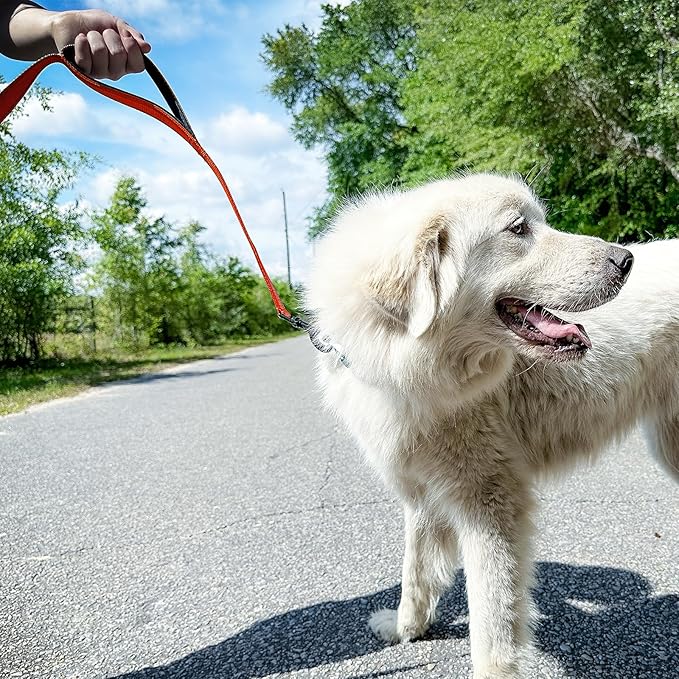 Joytale Dog Leash Heavy Duty for Large Dogs That Pull, Double Handle for Traffic Control, Double-Sided Reflective Leashes for Large Medium Dogs Night Safety, 5FT, Orange