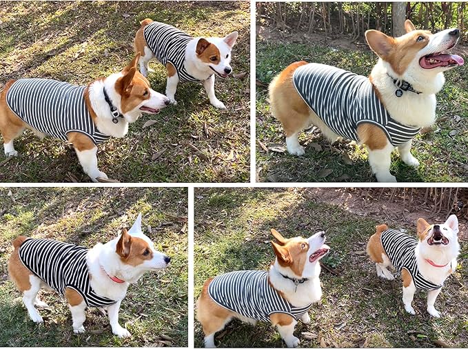 Koneseve Dog Shirt Vest Lightweight Stretchy Dog T-Shirts Soft Cool Sleeveless Stripe Vests Breathable Clothes for Puppy Kitty Cats Small Medium Large Dogs 2 Pack Black + Grey [ 2XL ]