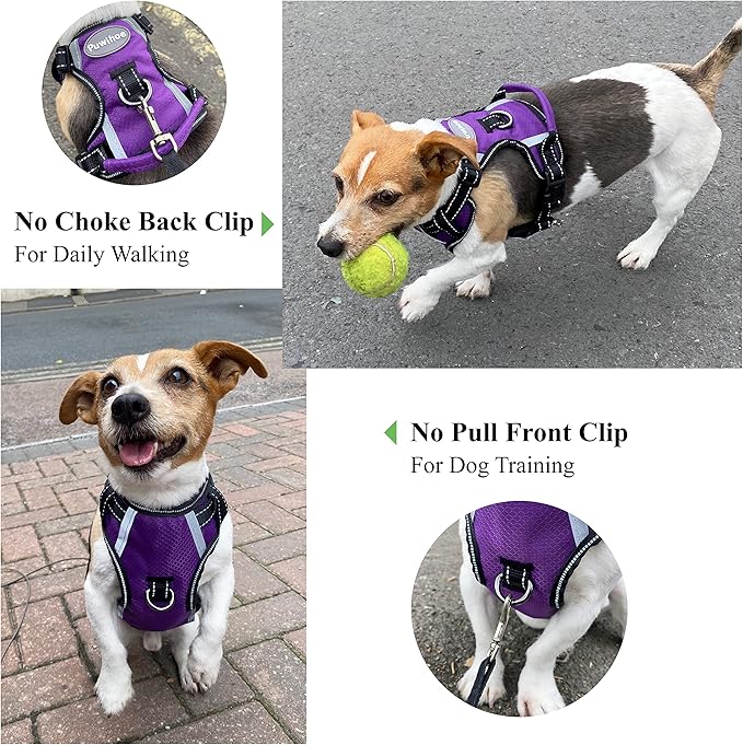 No Pull Dog Harness, Reflective Walking Dog Harness with Easy Control Handle and Front & Back Clips,Adjustable Breathable Soft Padded Dog Vest Harness for Large Medium Small Dogs,Purple,S