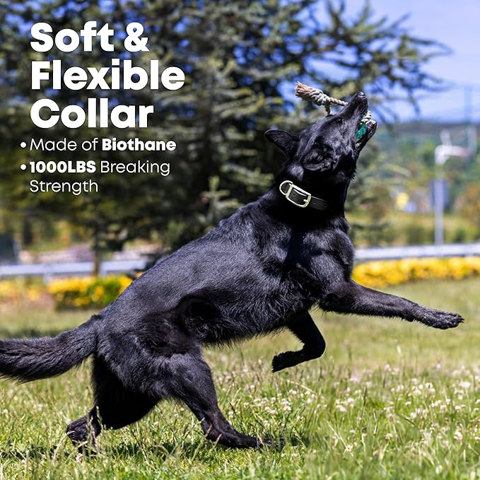 Regal Dog Products Small Black Waterproof Dog Collar and Leash Set | Heavy Duty Double Buckle & D Ring - 5'ft Leash | Adjustable Biothane Dog Collar | Chew Resistant Waterproof Collar for Dogs