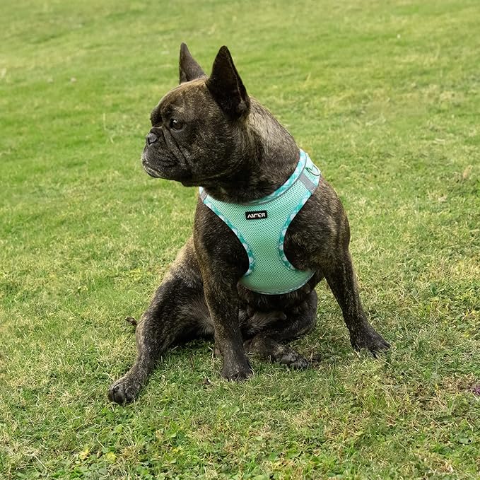 AMTOR Small Dog Harness with Leash Set, No Escape Easy Walk Puppy Harnesses for Training Walking, Step-in Reflective Soft Dogs Vest for XS S Medium Extra-Small Large Sized Dog(Green,XXS)